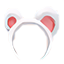 Orejitas de Oso Blanco