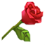 Brote Elegante