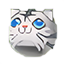 Sombrero de Tigre Blanco