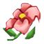 Flores recogidas por el Sr. Messi.
