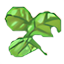 Celulosa Enriquecida