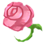 Flores Frescas