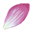 Piel de Leona