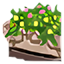 Jardín de Flores de Ladrillo