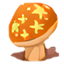 Hongo Amarillo Extraño