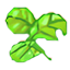 Hoja del Árbol de Vida