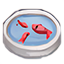 Pececillo Lirio de Agua Rosa