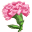 康乃馨糖花