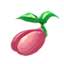Semilla Saludable