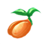 Semilla de Calabaza