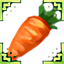 Zanahoria Superior