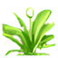 Hierba Eco de Fantasía