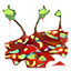 Alga Parásita