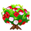 Rosas Maravillas