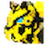 slaamarelo